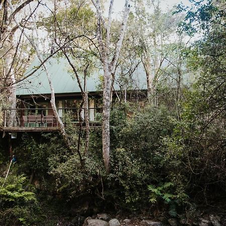 Rockwood Karkloof Forest Lodge & Mountain Cabin Yarrow Exteriör bild