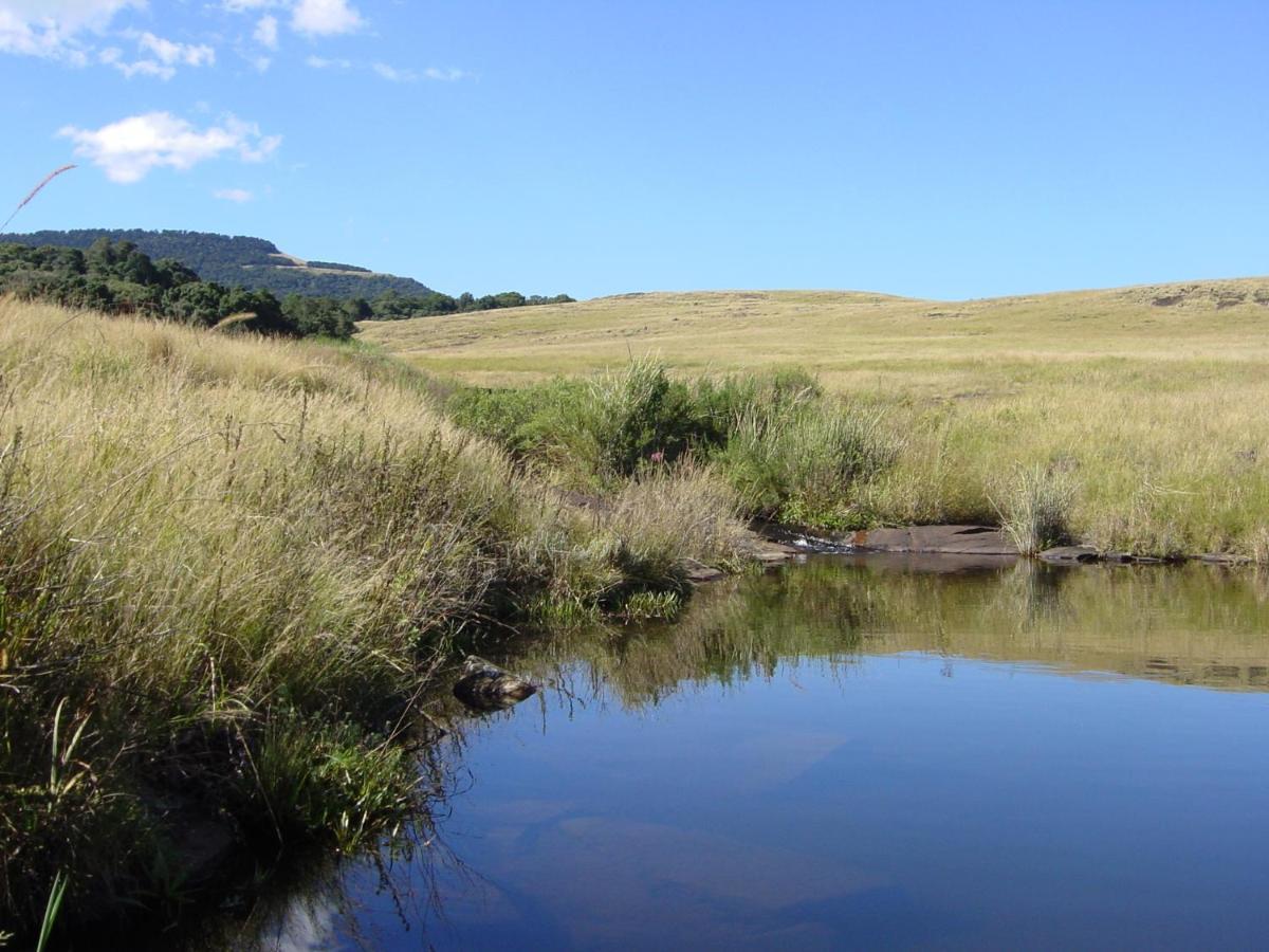 Rockwood Karkloof Forest Lodge & Mountain Cabin Yarrow Exteriör bild